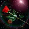 hipprince333